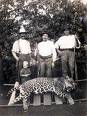 Primeros tiempo en aparición del Jaguar o Yaguareté