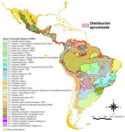 Distribución en toda América Latina del Yaguareté